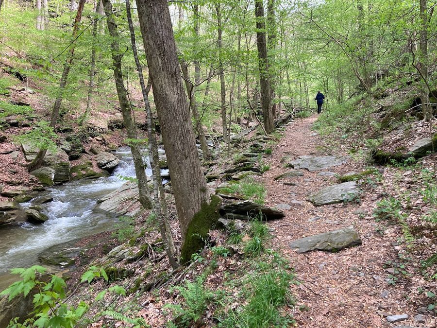 A wooded trail along Chickies Creek, with water running over rocks beside it